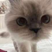 ヒメ日記 2025/09/14 22:59 投稿 いずみ G-SCANDAL