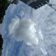 ヒメ日記 2025/11/29 15:29 投稿 いずみ G-SCANDAL