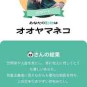 いずみ 🐈⬛ G-SCANDAL