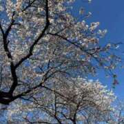 ヒメ日記 2026/04/06 22:09 投稿 いずみ G-SCANDAL