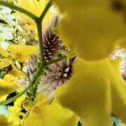 ヒメ日記 2025/10/01 18:04 投稿 つきのさん －PTA－