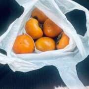 ヒメ日記 2025/11/04 19:24 投稿 つきのさん －PTA－