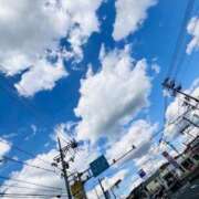 ヒメ日記 2025/11/06 12:24 投稿 つきのさん －PTA－