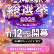 ヒメ日記 2025/11/12 10:34 投稿 つきのさん －PTA－