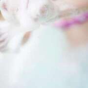 ヒメ日記 2025/11/30 13:44 投稿 つきのさん －PTA－