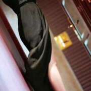 ヒメ日記 2025/12/15 10:04 投稿 つきのさん －PTA－