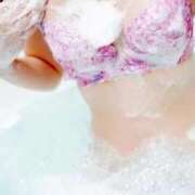 ヒメ日記 2026/01/17 10:44 投稿 つきのさん －PTA－