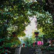 ヒメ日記 2026/01/18 19:44 投稿 つきのさん －PTA－