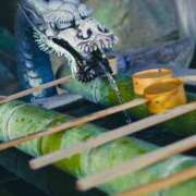 ヒメ日記 2026/01/22 21:04 投稿 つきのさん －PTA－