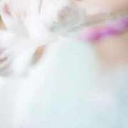 ヒメ日記 2026/02/18 12:44 投稿 つきのさん －PTA－