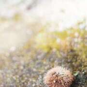 ヒメ日記 2026/02/28 21:54 投稿 つきのさん －PTA－