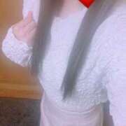 ヒメ日記 2025/11/12 10:24 投稿 しずくさん －PTA－