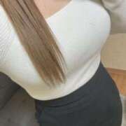 ヒメ日記 2026/02/24 09:44 投稿 しずくさん －PTA－