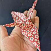 ヒメ日記 2025/12/23 08:46 投稿 はるな 北九州人妻倶楽部（三十路、四十路、五十路）