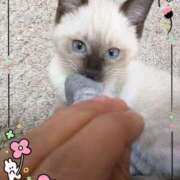 ヒメ日記 2025/10/08 08:49 投稿 けい 熟女総本店 堺東店