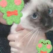 ヒメ日記 2025/10/09 09:09 投稿 けい 熟女総本店 堺東店