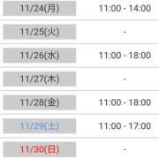 ヒメ日記 2025/11/24 09:09 投稿 けい 熟女総本店 堺東店