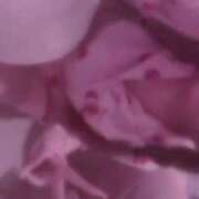 ヒメ日記 2025/04/02 23:07 投稿 めあ ぷるるんギャング