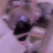 ヒメ日記 2025/04/07 02:25 投稿 めあ ぷるるんギャング