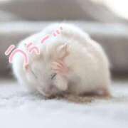 ヒメ日記 2025/07/19 15:25 投稿 めあ ぷるるんギャング