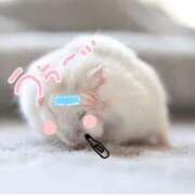 ヒメ日記 2026/01/30 13:25 投稿 めあ ぷるるんギャング