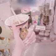 ヒメ日記 2026/03/28 07:15 投稿 めあ ぷるるんギャング