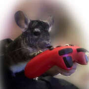 ヒメ日記 2025/01/13 18:09 投稿 竹内みさ 乳ビーナス(New Venus)