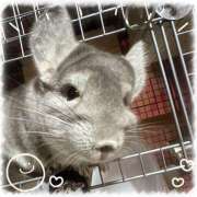 ヒメ日記 2025/02/26 21:58 投稿 竹内みさ 乳ビーナス(New Venus)