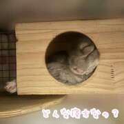 ヒメ日記 2025/05/29 22:32 投稿 竹内みさ 乳ビーナス(New Venus)