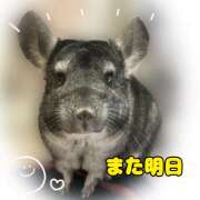 ヒメ日記 2025/08/05 21:31 投稿 竹内みさ 乳ビーナス(New Venus)