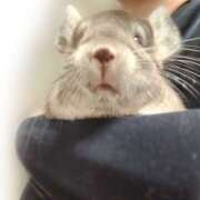 ヒメ日記 2025/08/22 18:38 投稿 竹内みさ 乳ビーナス(New Venus)