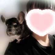 ヒメ日記 2025/09/18 19:35 投稿 竹内みさ 乳ビーナス(New Venus)