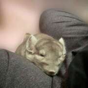 ヒメ日記 2025/11/06 21:13 投稿 竹内みさ 乳ビーナス(New Venus)