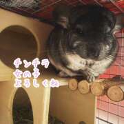 ヒメ日記 2025/11/24 22:21 投稿 竹内みさ 乳ビーナス(New Venus)