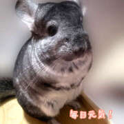 ヒメ日記 2026/01/22 22:08 投稿 竹内みさ 乳ビーナス(New Venus)