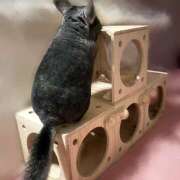 ヒメ日記 2026/03/30 22:12 投稿 竹内みさ 乳ビーナス(New Venus)