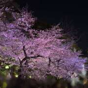 ヒメ日記 2026/04/02 21:01 投稿 竹内みさ 乳ビーナス(New Venus)