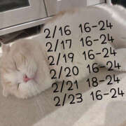 ヒメ日記 2025/02/11 08:28 投稿 にこ バイオレンス