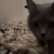 ヒメ日記 2025/07/28 18:45 投稿 にこ バイオレンス