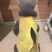 ヒメ日記 2026/03/05 15:35 投稿 にこ バイオレンス