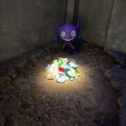 ヒメ日記 2026/04/29 13:55 投稿 にこ バイオレンス