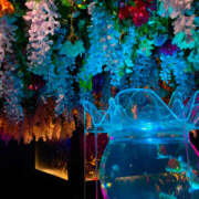 ヒメ日記 2025/11/20 15:35 投稿 さくら ゴッドハンド