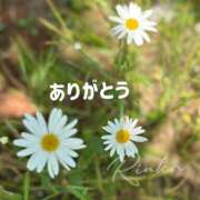 りんか ありがとうございます 甲府人妻隊