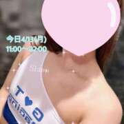 ヒメ日記 2026/04/13 08:28 投稿 シオン ぐっどがーる浜松店