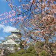 ヒメ日記 2025/04/05 12:06 投稿 はるか スピード難波店