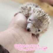 ヒメ日記 2025/04/12 11:05 投稿 はるか スピード難波店