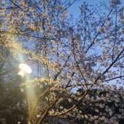 ヒメ日記 2026/04/05 14:01 投稿 はるか スピード難波店