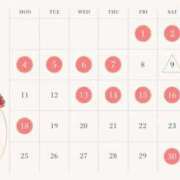 はるか はるか（スピード難波店） スピード難波店