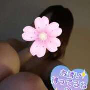 ヒメ日記 2025/05/19 14:13 投稿 浜崎　みらい マイドリーム