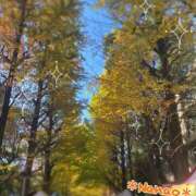 ヒメ日記 2024/12/18 10:00 投稿 菜々緒 モアグループ春日部人妻城